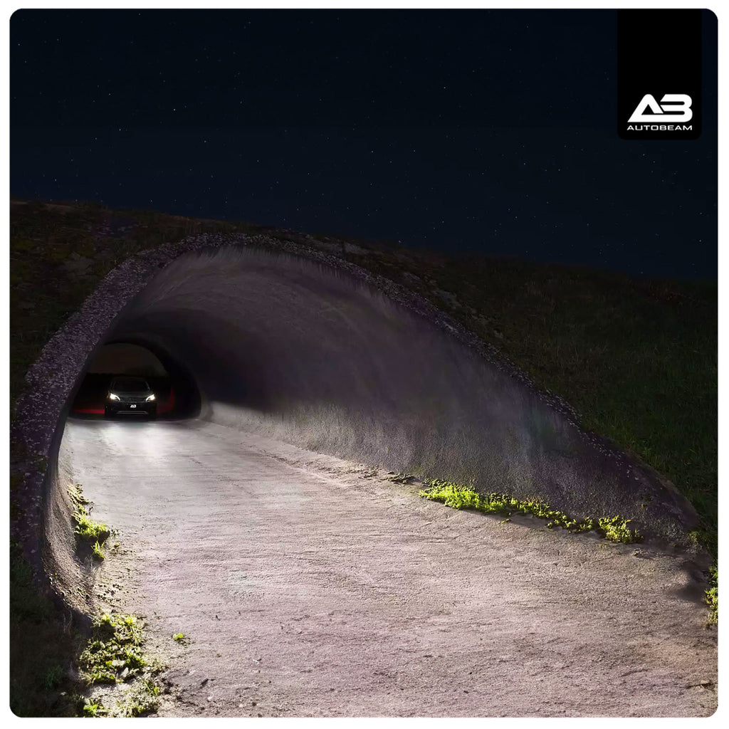 Halogen H16 | Series 2