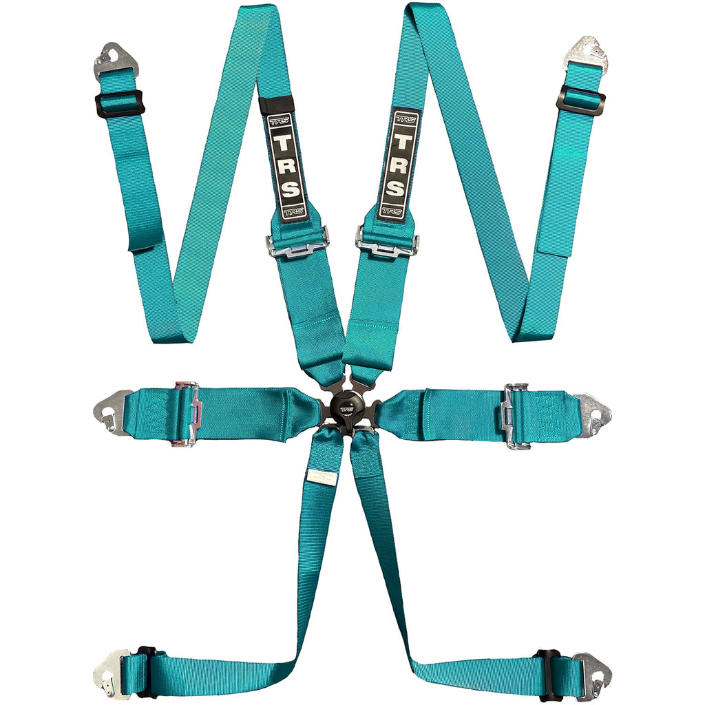 BOLT IN 6 POINT HARNESS