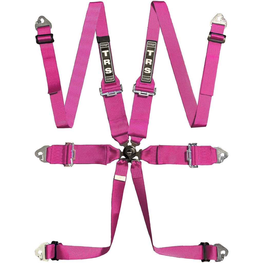 BOLT IN 6 POINT HARNESS