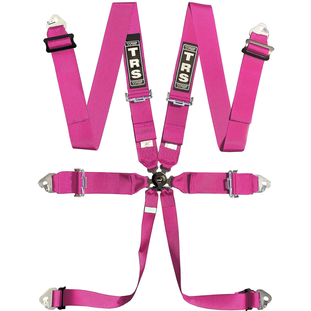 BOLT IN 6 POINT HARNESS