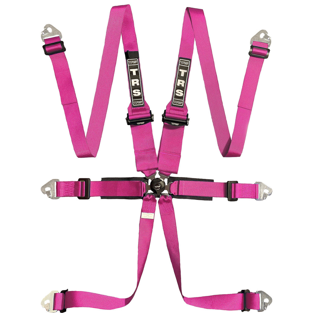 BOLT IN 6 POINT HARNESS