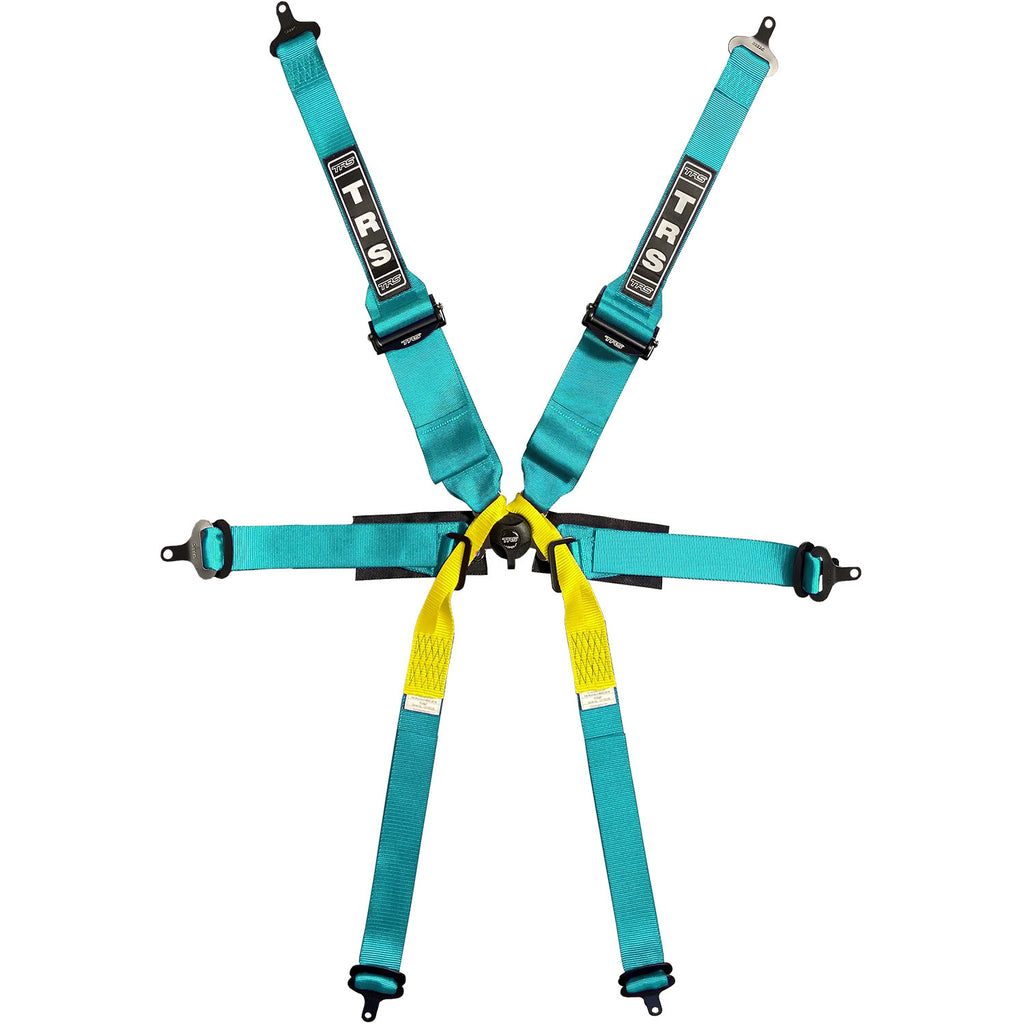 BOLT IN 6 POINT HARNESS | SINGLE SEATER