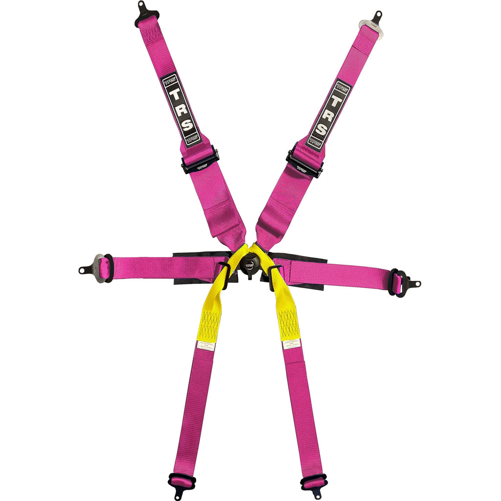 BOLT IN 6 POINT HARNESS | SINGLE SEATER