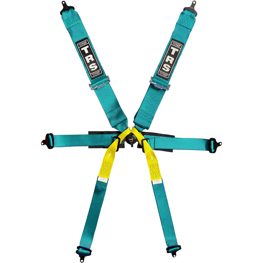 BOLT IN 6 POINT HARNESS | SINGLE SEATER