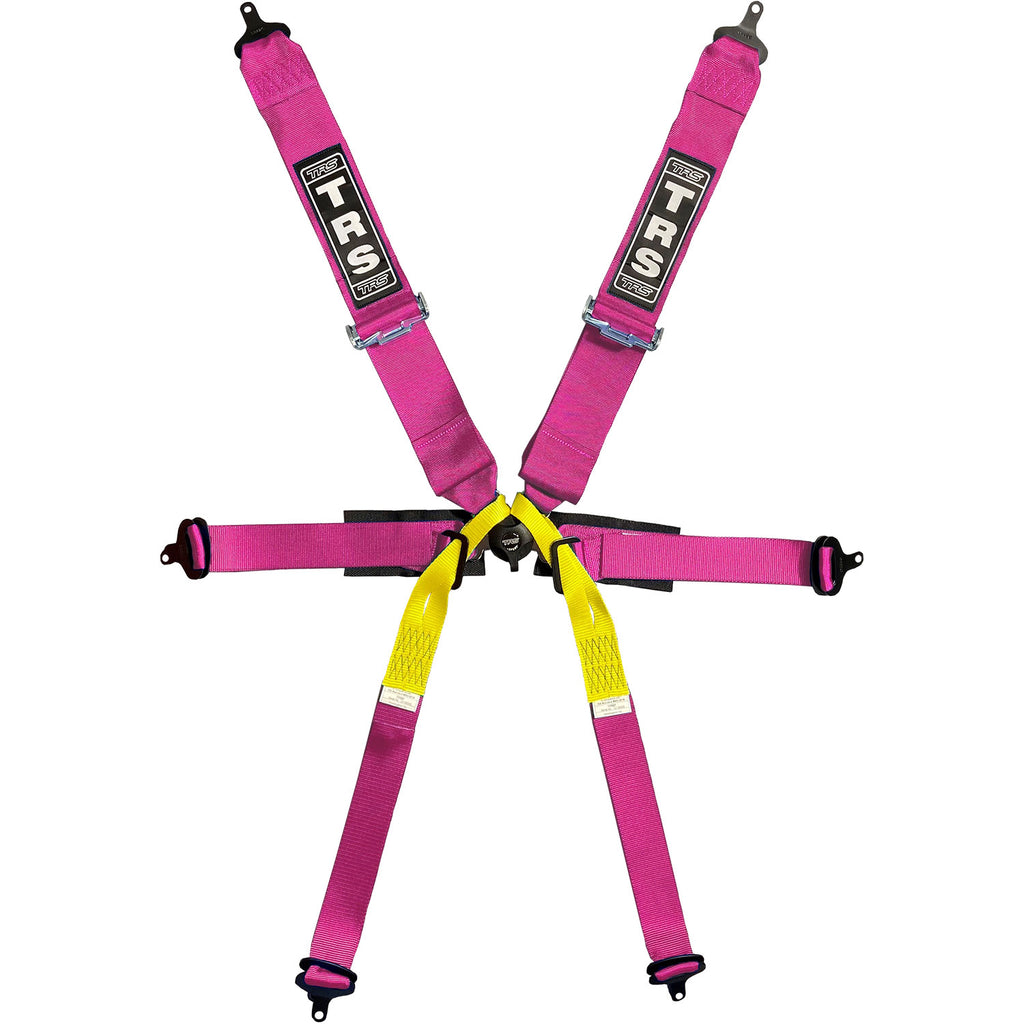 BOLT IN 6 POINT HARNESS | SINGLE SEATER