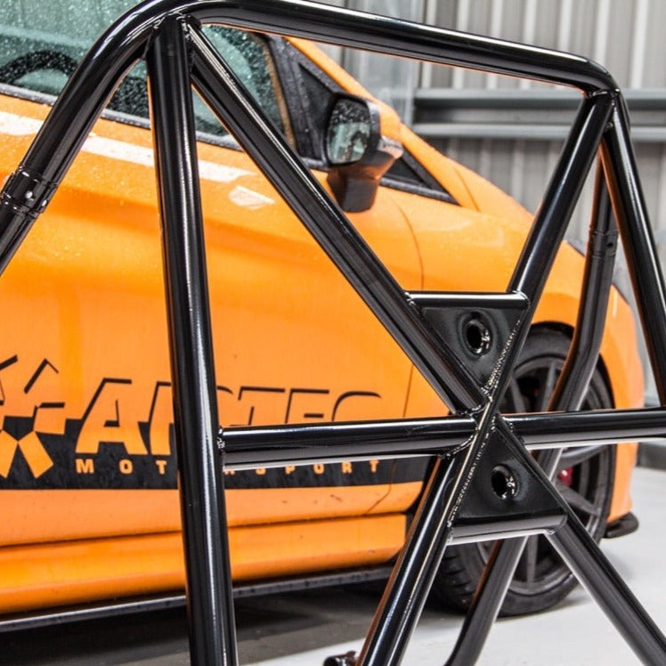 BOLT-IN REAR CAGE | FIESTA MK8