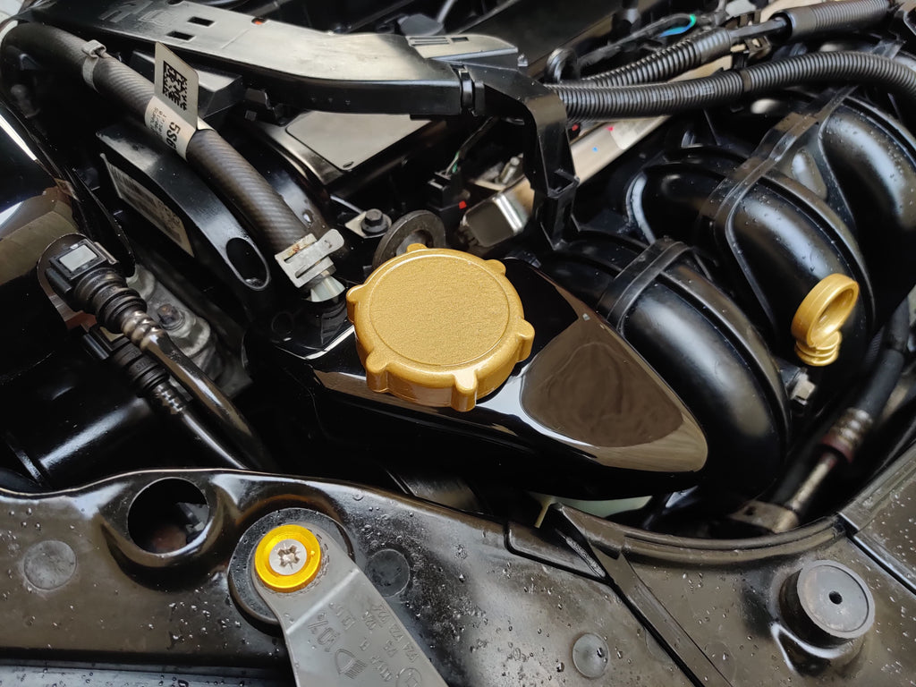 Power Steering Reservoir Cover | Fiesta MK6