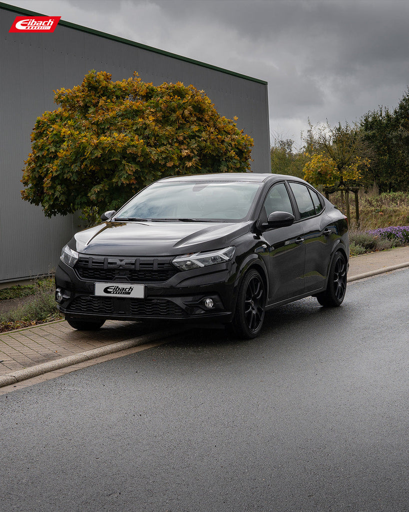 Pro-Kit Lowering Springs