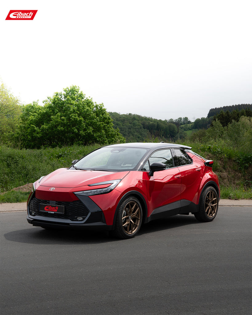 Pro-Kit Lowering Springs (E10-82-078-02-22)