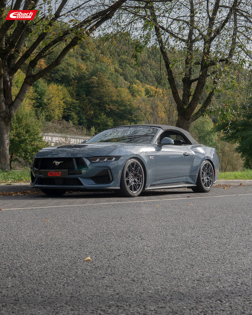 Sportline Lowering Springs (E20-35-064-03-22)