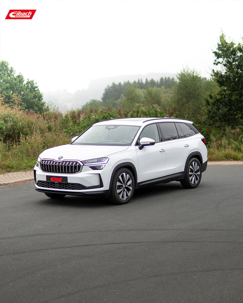 Pro-Kit Lowering Springs (E10-79-013-03-22)