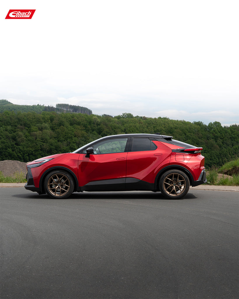 Pro-Kit Lowering Springs (E10-82-078-02-22)