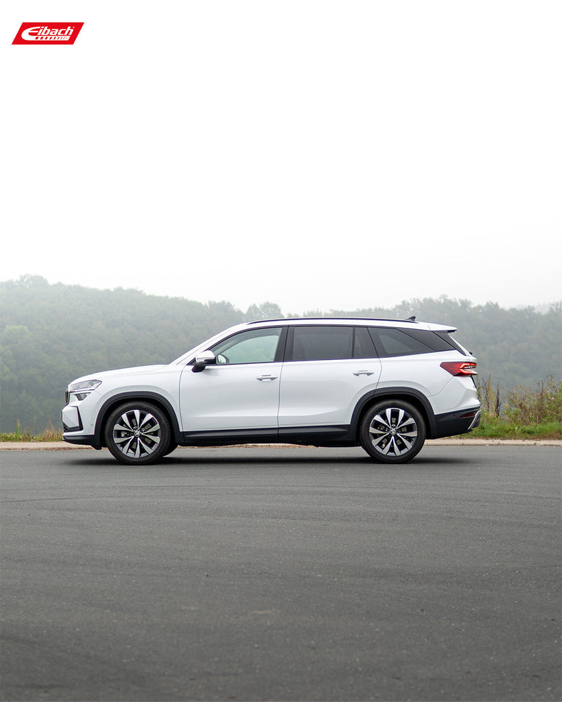 Pro-Kit Lowering Springs (E10-79-013-03-22)