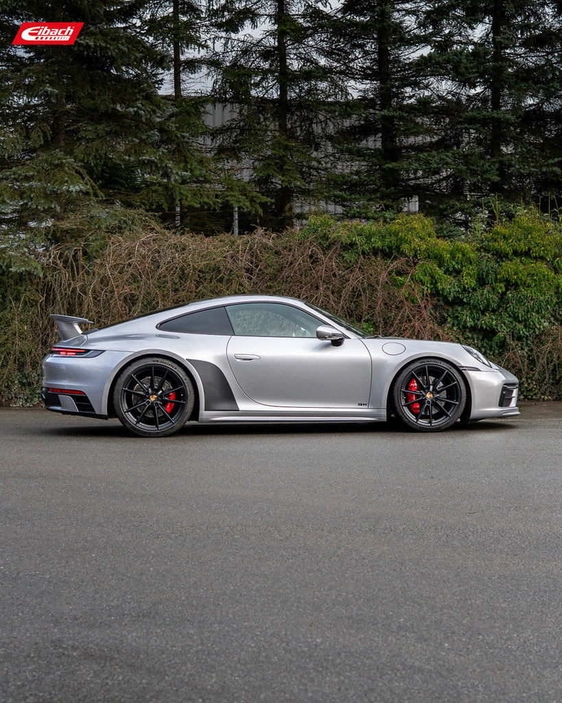 Pro-Kit Lowering Springs (E10-72-018-02-22)