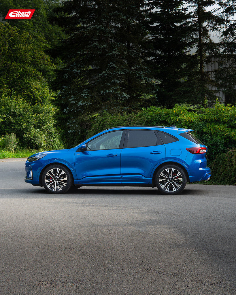 Pro-Kit Lowering Springs