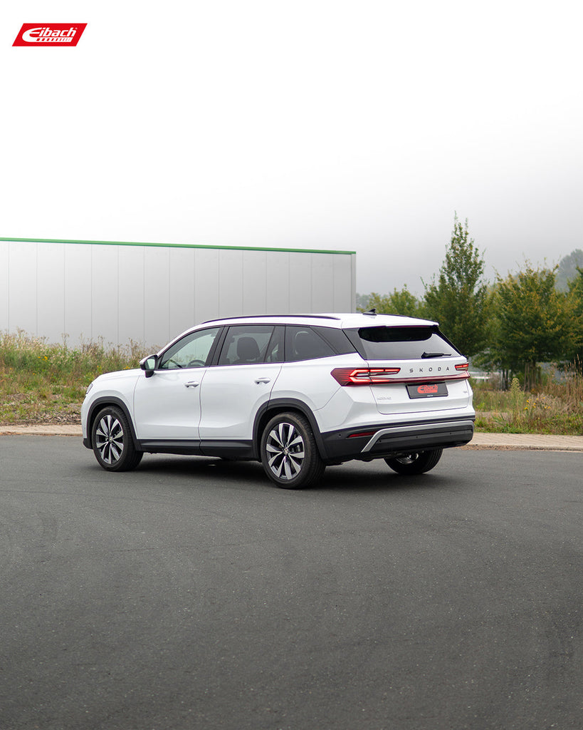 Pro-Kit Lowering Springs (E10-79-013-03-22)