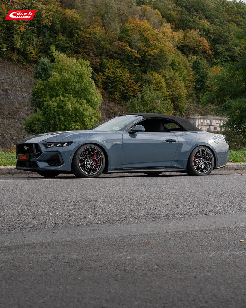 Sportline Lowering Springs (E20-35-064-03-22)