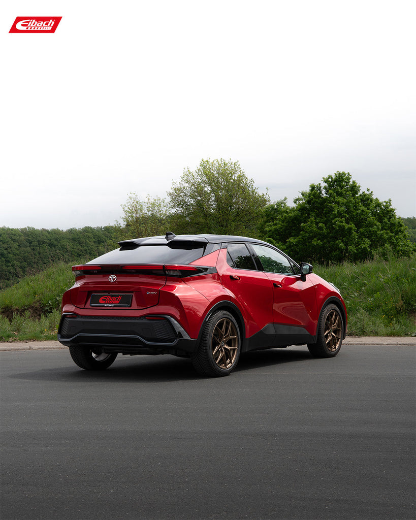 Pro-Kit Lowering Springs (E10-82-078-02-22)