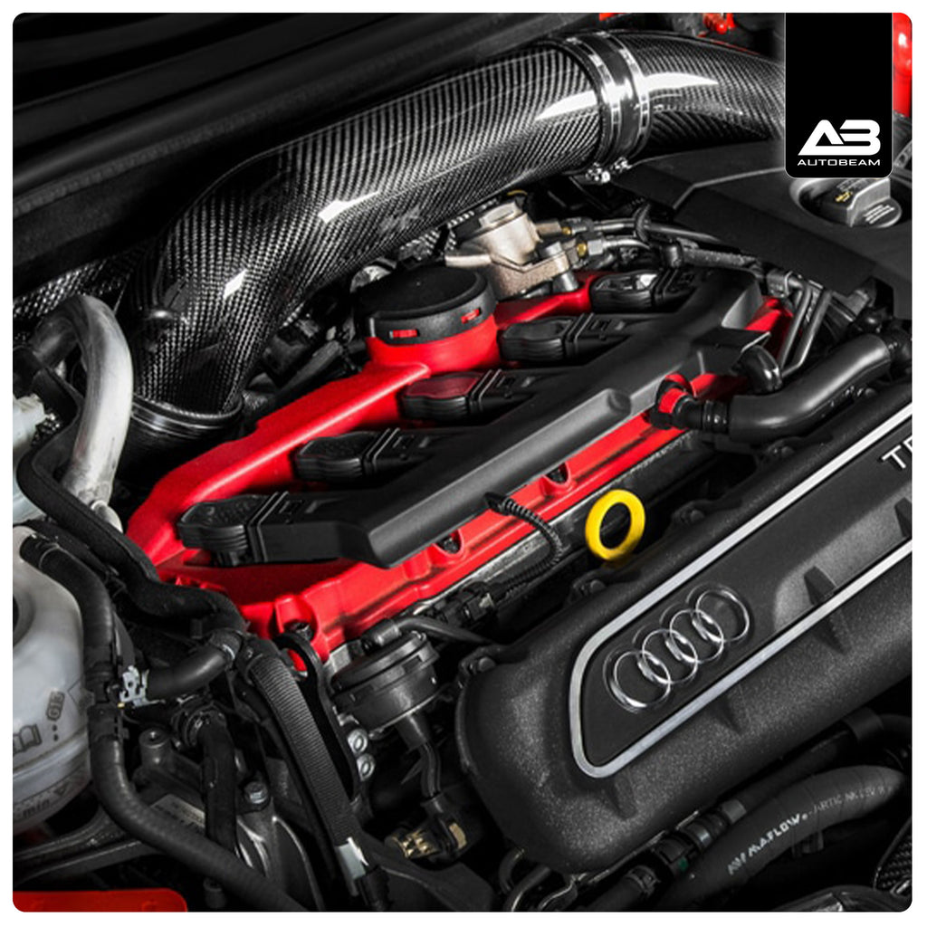 CARBON FIBRE AIR INTAKE | AUDI RS3 8V PFL