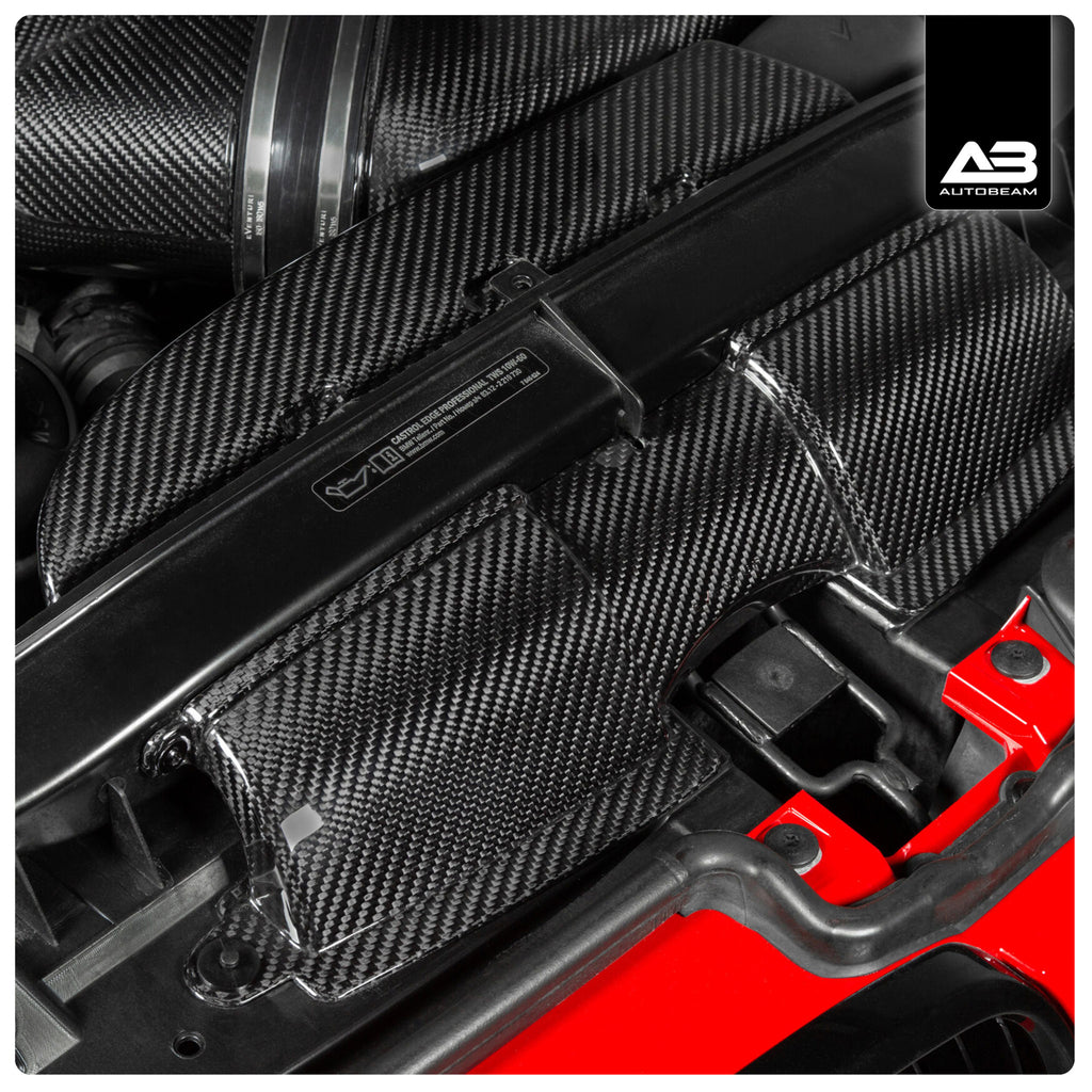 CARBON FIBRE DUCT SET | BMW E39