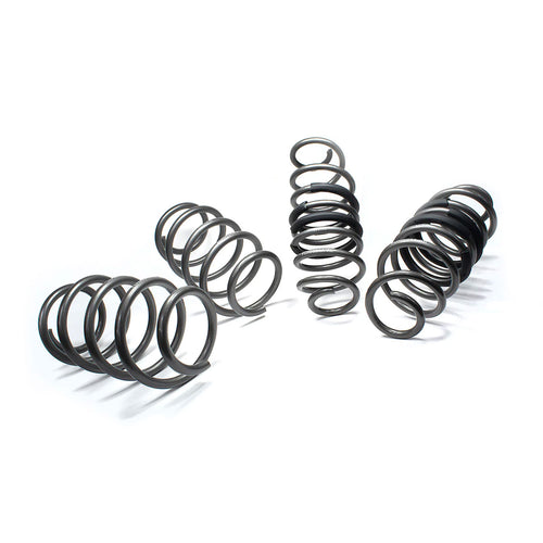 09D Performance Spring Kit | Fiesta MK8/8.5 ST