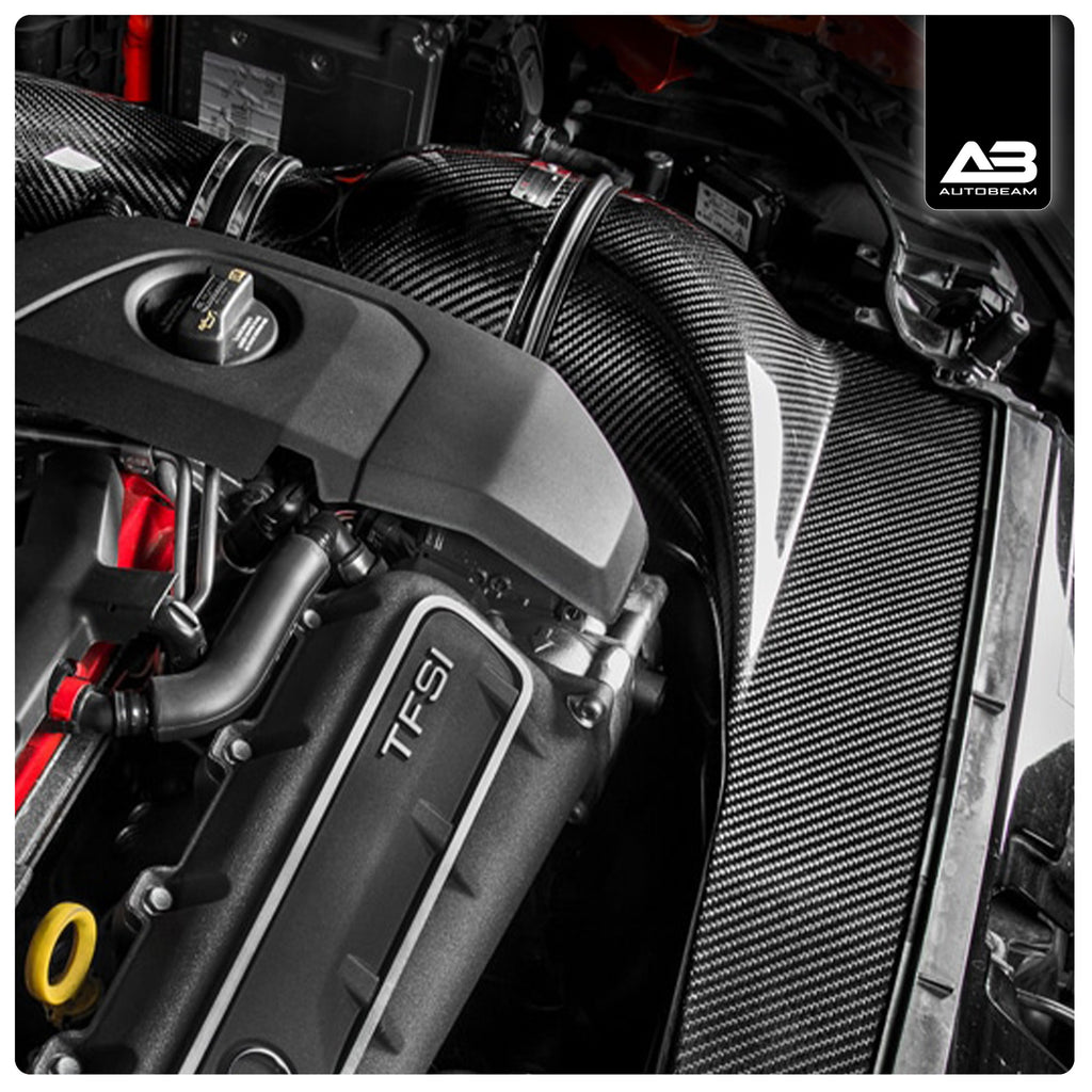 CARBON FIBRE AIR INTAKE | AUDI RS3 8V PFL