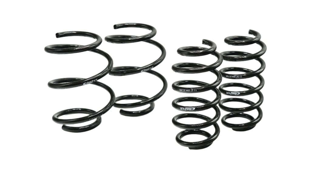 Pro-Kit Lowering Springs (E10-57-004-05-22)