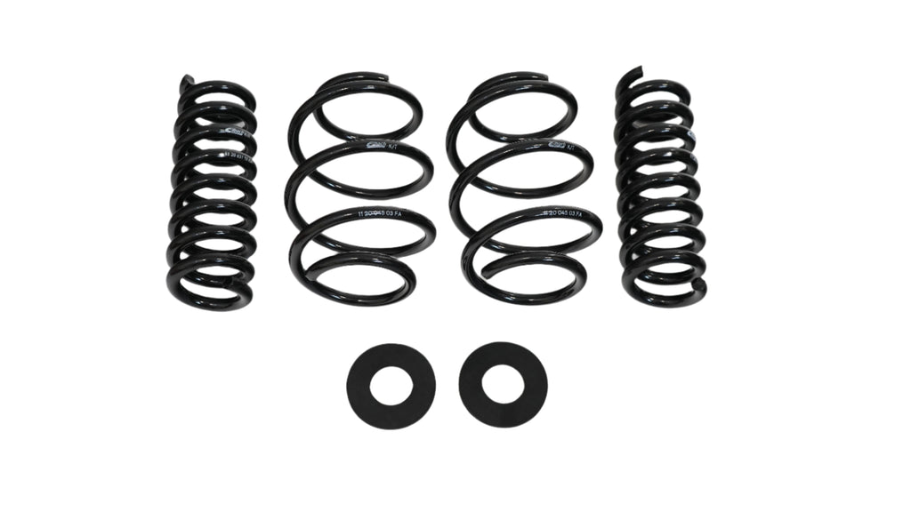 Pro-Kit Lowering Springs