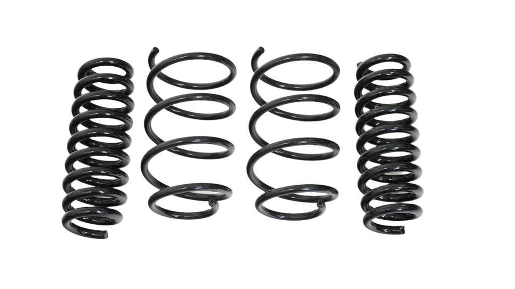 Pro-Kit Lowering Springs