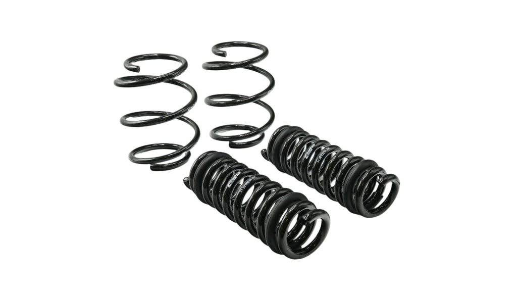 Pro-Kit Lowering Springs