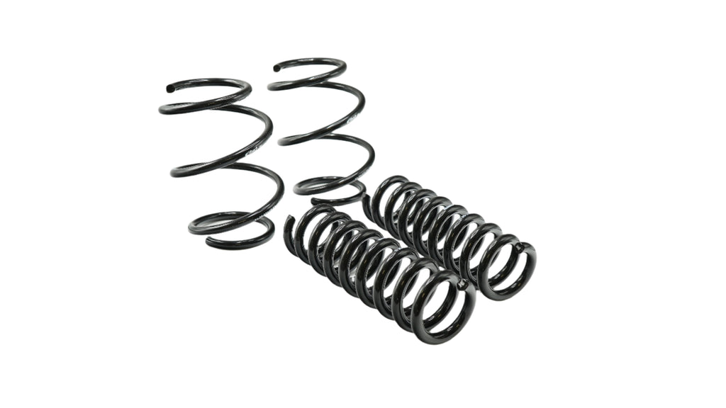 Pro-Kit Lowering Springs