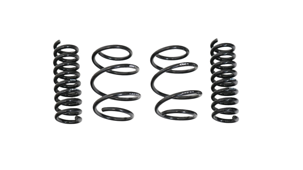Pro-Kit Lowering Springs
