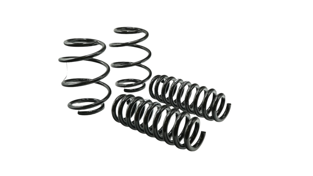 Pro-Kit Lowering Springs