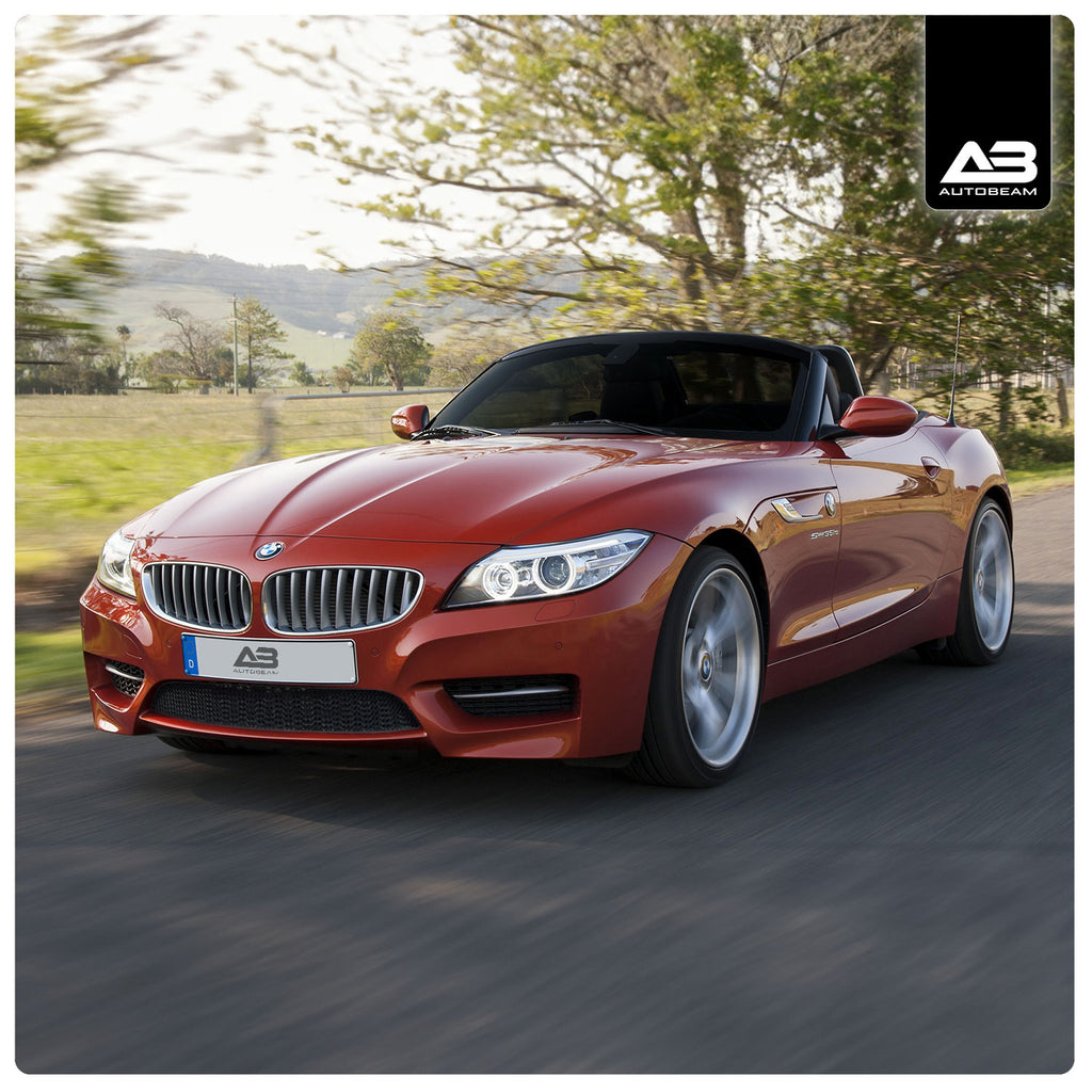 Lower Grille | BMW Z4 M Sport