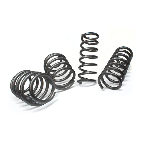 09D Performance Spring Kit | Focus MK3 RS