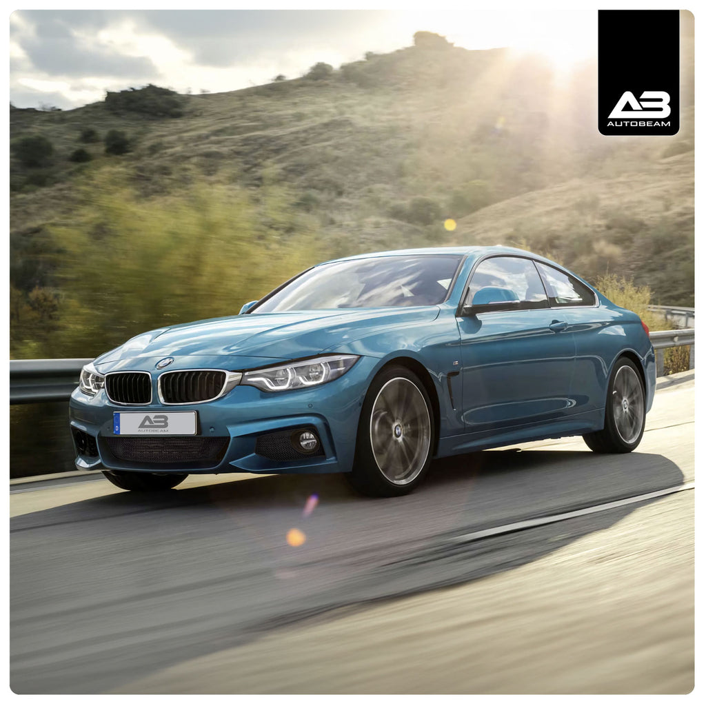 Outer Grille | BMW 4 Series F32, F33, F36 M-Sport