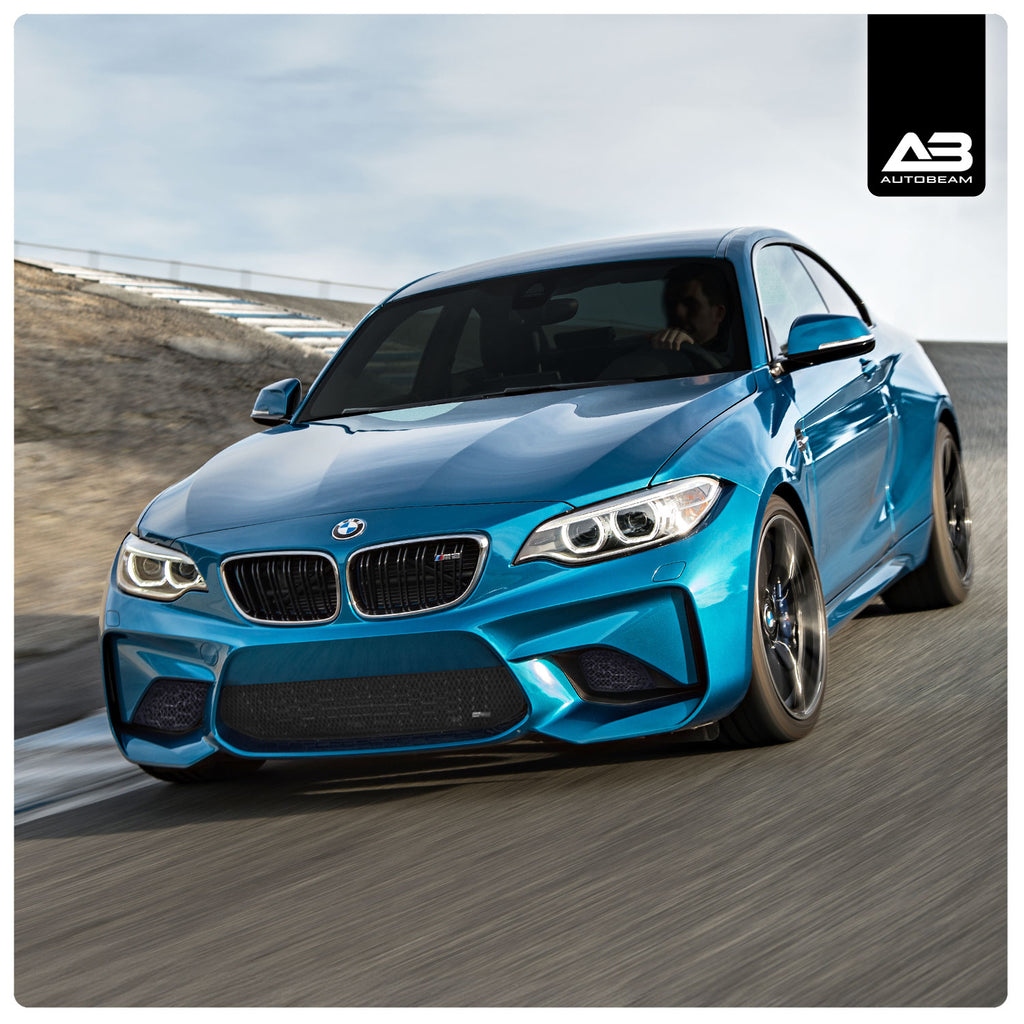 Outer Grille | BMW M2 (F87)