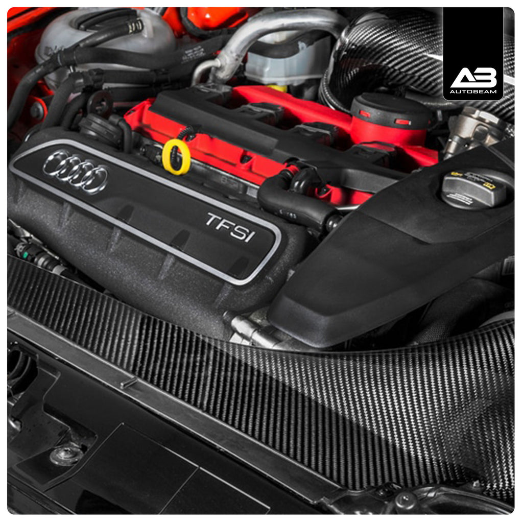 CARBON FIBRE AIR INTAKE | AUDI RS3 8V PFL