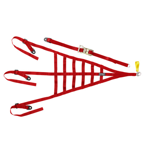 ROLL CAGE SAFETY NET