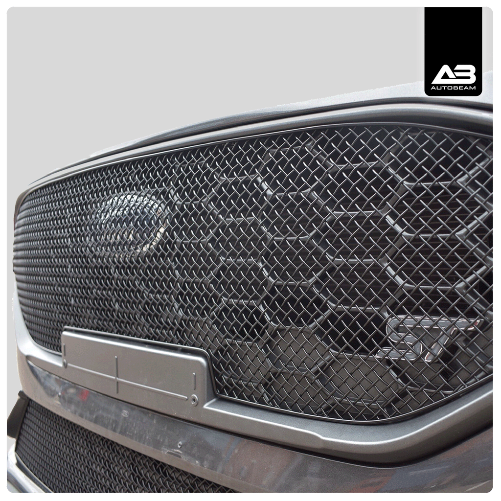 Upper Grille | Ford Fiesta MK8.5 ST