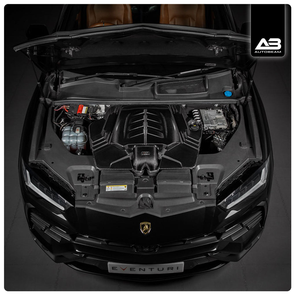 CARBON FIBRE AIR INTAKE | VAG 4.0 TFSI V8 TWIN TURBO