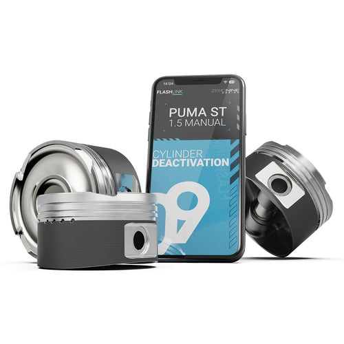 09D FLASHlink Cylinder Deactivation | Puma ST